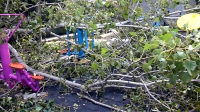 Parkta oynayan 3 çocuğun üzerine ağaç devrildi