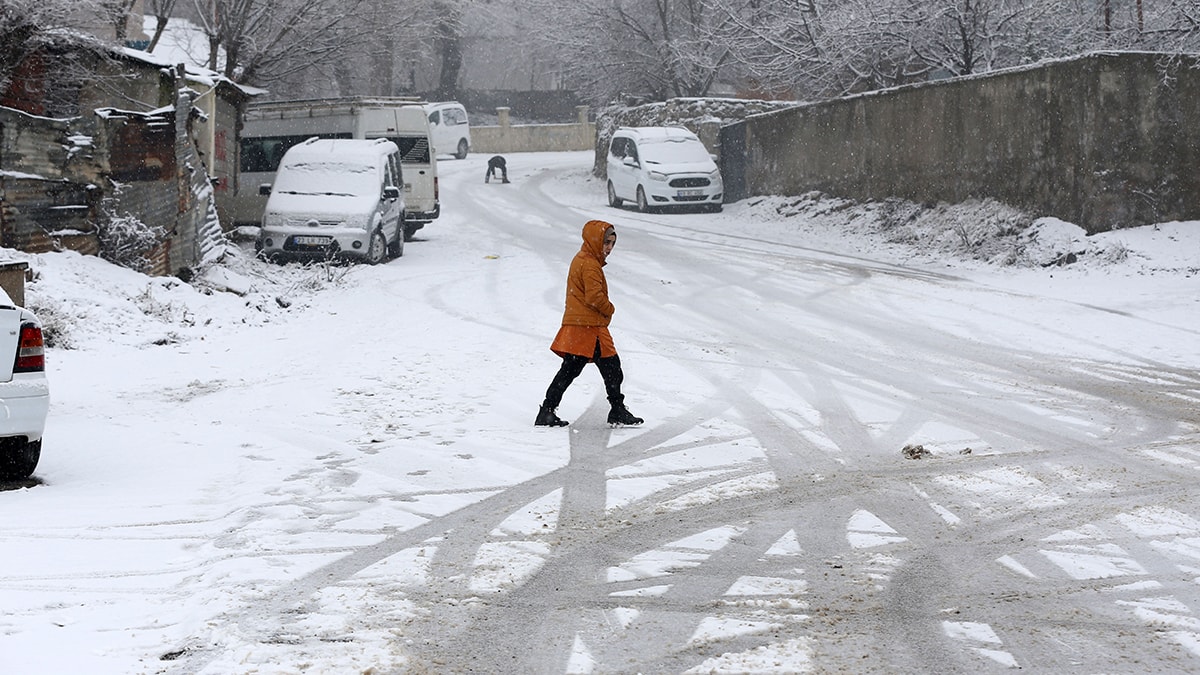Muş ve Bitlis'te kar yağışı etkili oldu