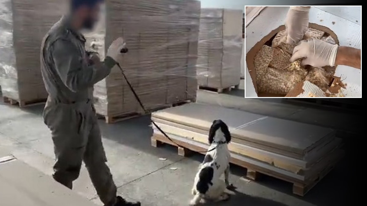 Gümrükte 5 milyar liralık uyuşturucu yakalandı