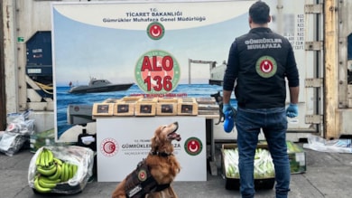 Muz dolu konteynerde 77 kilo kokain ele geçirildi