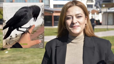 Karga ile videosu viral olmuştu: Şikayet üzerine ifade verdi