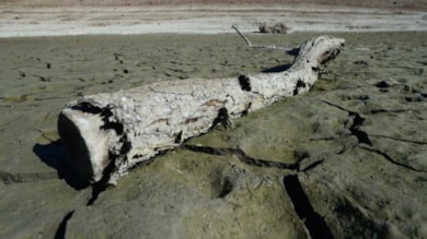 Bursa'da barajlarda alarm!