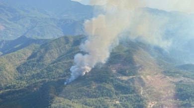 Muğla'da orman yangını: Müdahale sürüyor