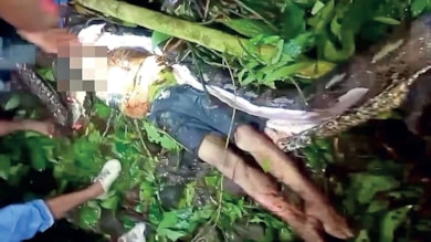 Endonezya'da pitonun yuttuğu adamı karnını kesip çıkardılar