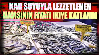 Balık fiyatları havaların soğumasıyla uçuşa geçti: Hamsinin fiyatı ikiye katlandı