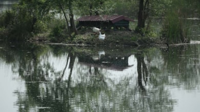 Tabiat parkı, yaralı yaban hayvanlarına "yuva" oluyor