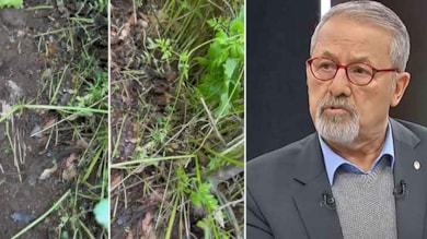 Bingöl'de yer altından gizemli ses! Naci Görür'den açıklama geldi