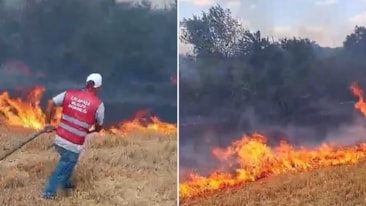 Edirne'de anız yangını ormanlık alana sıçradı