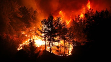 İzmir'de büyük yangın: Evler ve oteller boşaltıldı