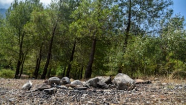 Orman yasakları sonrası 'mangal' duyarsızlığı