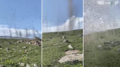 Ardahan'da yeşil sinekler hortum görüntüsü oluşturdu