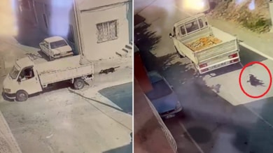 Köpeği kamyonetin arkasına bağlayıp, sürükledi