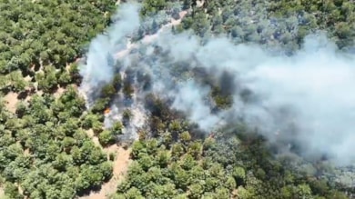 Çanakkale'de orman yangını