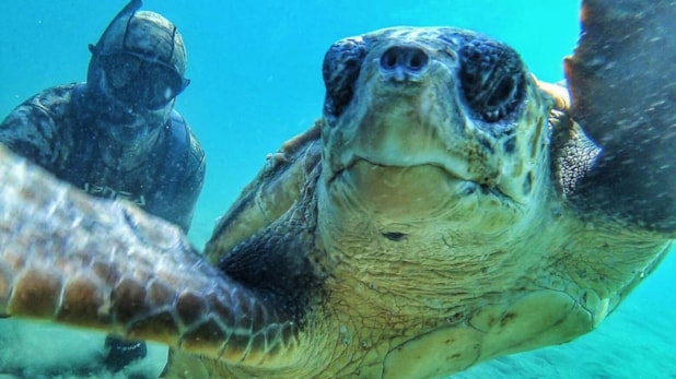 Rekortmen dalgıç, denizin dibinde caretta caretta ile selfie çekti