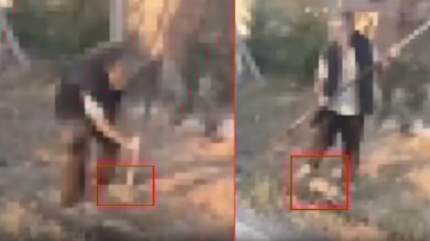 Yavru köpeği acımasızca katleden şahıs tutuklandı!
