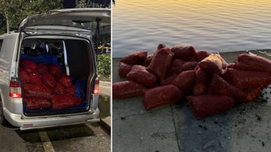 Üsküdar'da 1 ton kaçak midye ele geçirildi