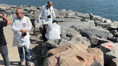 Avcılar'da sahilde kadın cesedi bulundu! Kimliği tespit edildi