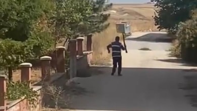 Köpeğe tüfekle ateş etti
