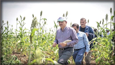 İktidar, halkın 276 milyon lirasını Sudan’a gömdü!