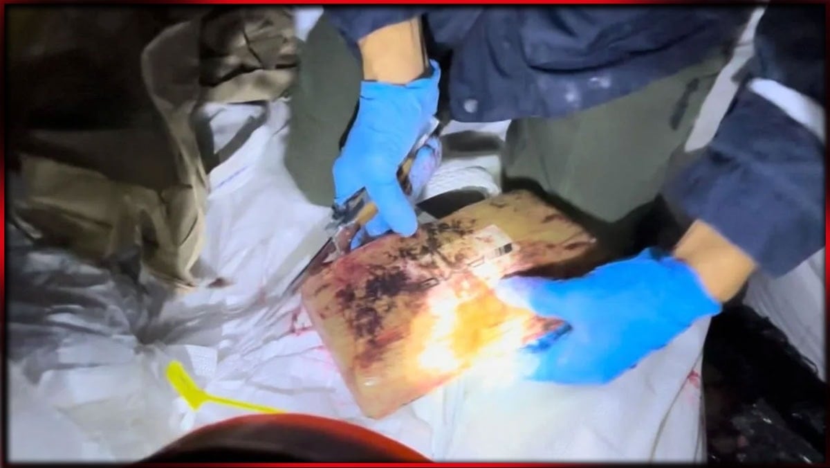 Yer fıstıkları arasından 298 kilo kokain çıktı