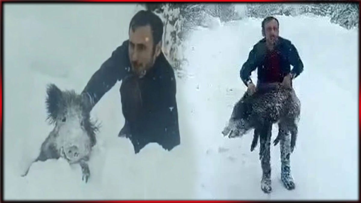 Dünya, ağzında sigarasıyla domuz yakalayan Sinopluyu konuşuyor