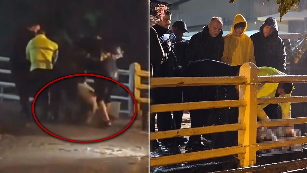 Yalova'da yağışların son bulması için kurban kestiler! Sosyal medyada infial yaratan görüntü