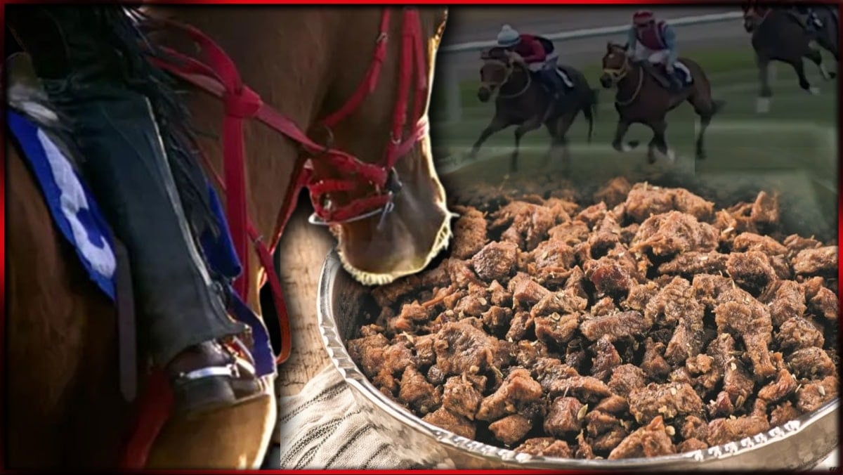 Kavurma yapılan yarış atı 50 bin TL'ye satılmış! Tek kuşbaşı yapılan o değilmiş..