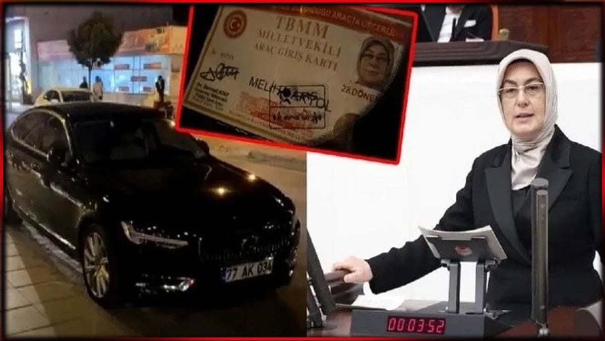 AKP’li vekilin park ihlalini eleştirenlere hapis cezası