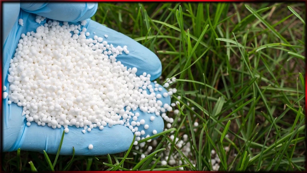 Türkiye'de kullanımı yasaktı.. İran savaşı sonrası serbest oldu