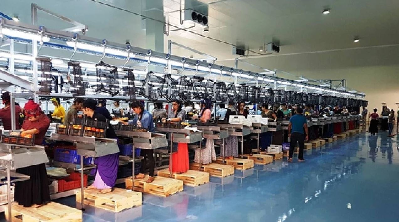 Türkiye'nin gıda firması iflas etti! 15 yıldır faaliyet gösteriyordu