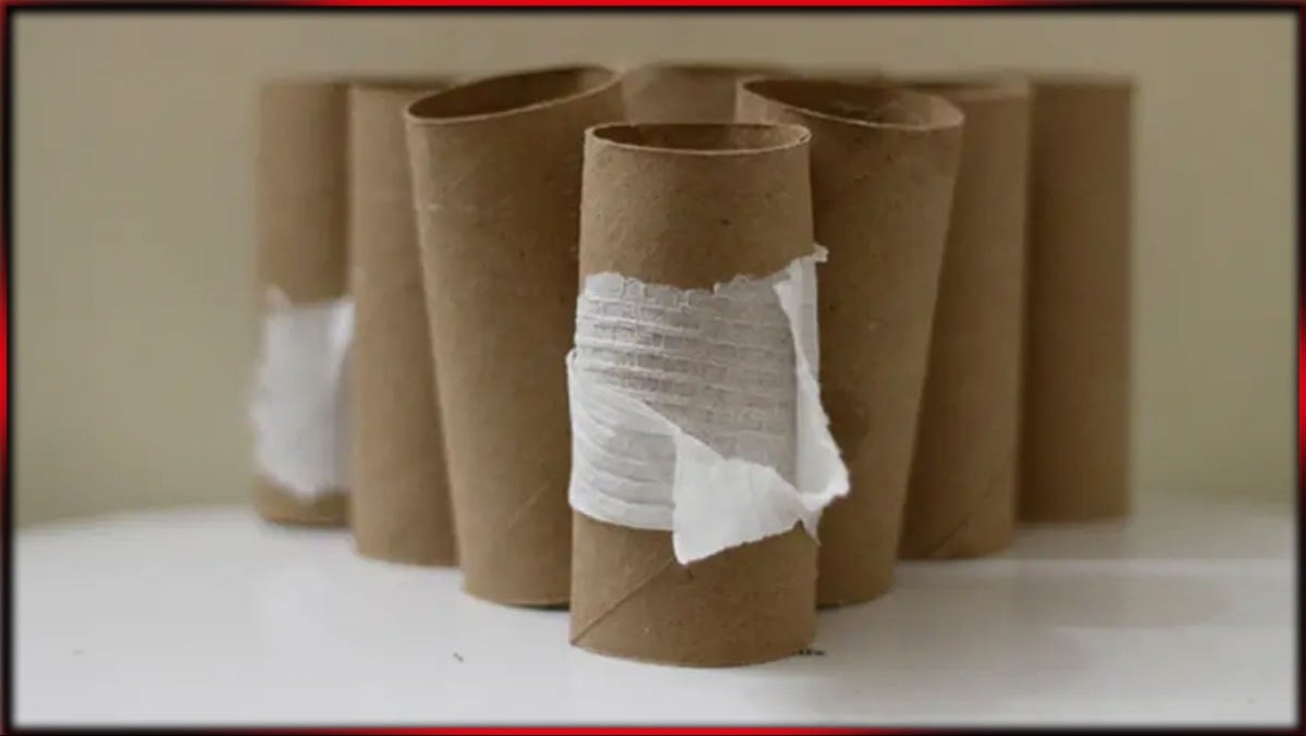 Tuvalet kağıdı rulolarını sakın çöpe atmayın! Altın değerinde..