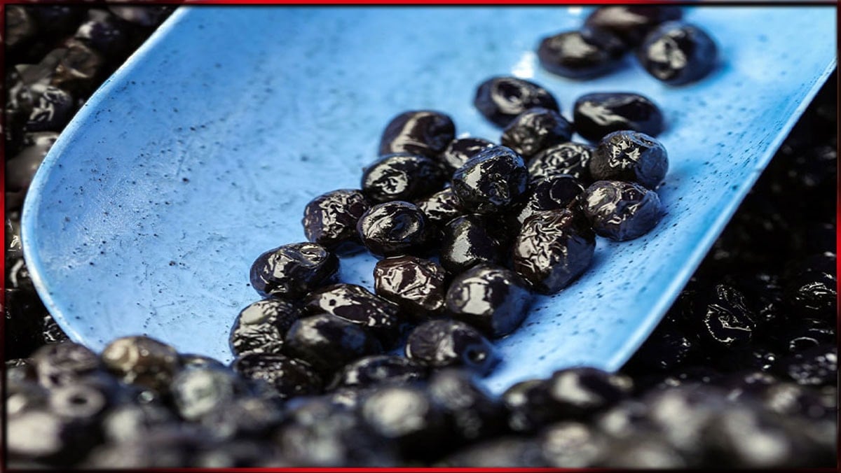 Türkiye’nin 40 yıllık zeytin devi konkordato ilan etti!