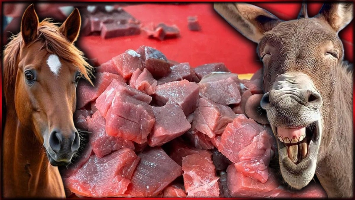 Dükkana girene at ve eşek eti yedirmişler