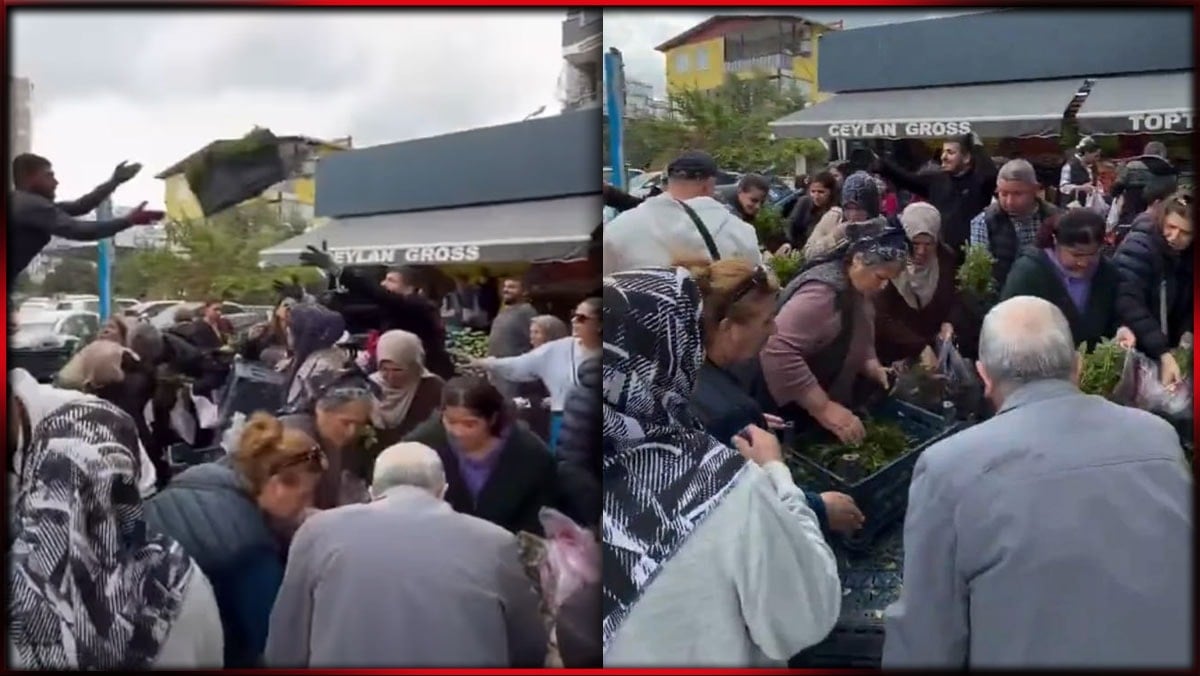 Bir tutam ot için izdiham yaşandı