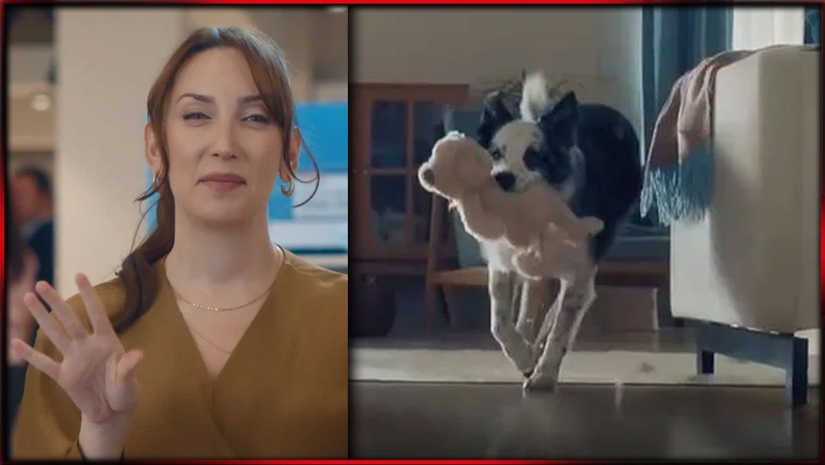 Bakanlık, Bosch’un Anneler Günü reklamından davacı oluyor
