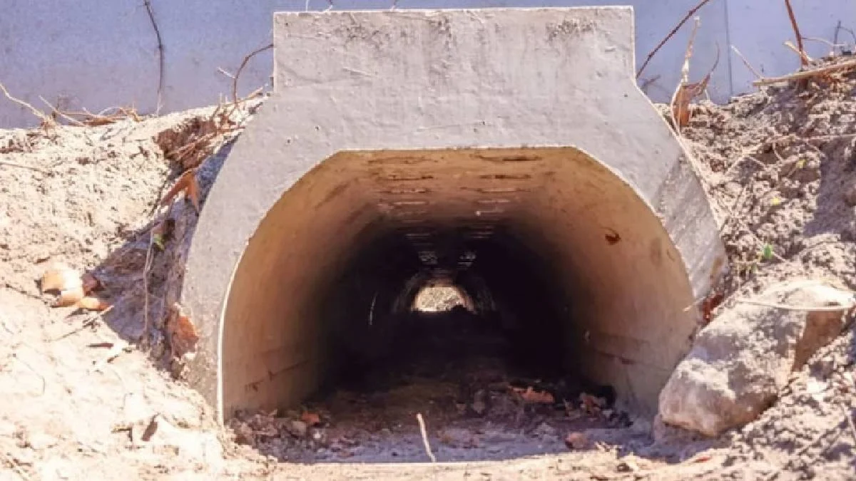 Çiftleşemeleri için 1,8 milyona alt geçit yapıldı